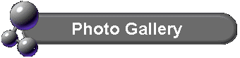 Photo Gallery